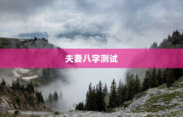 夫妻八字测试
