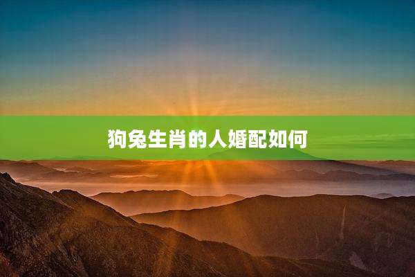 狗兔生肖的人婚配如何