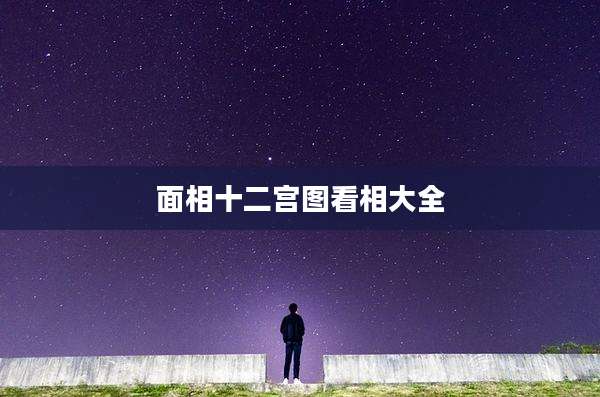 面相十二宫图看相大全