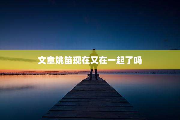 文章姚笛现在又在一起了吗