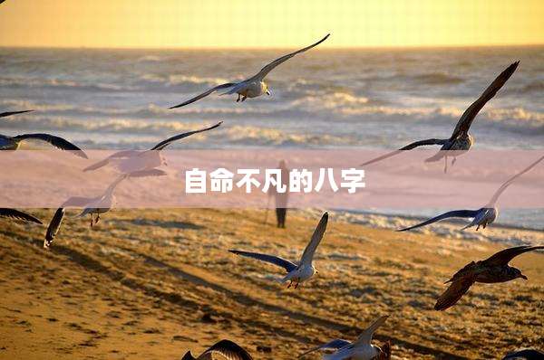 自命不凡的八字