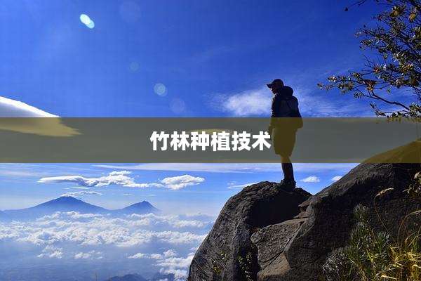 竹林种植技术