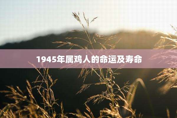 1945年属鸡人的命运及寿命