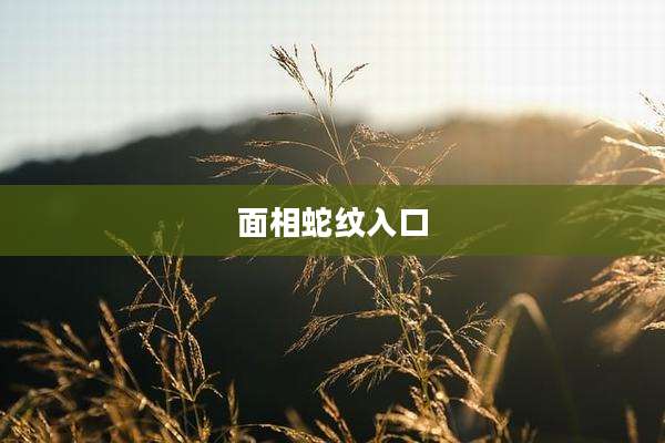 面相蛇纹入口
