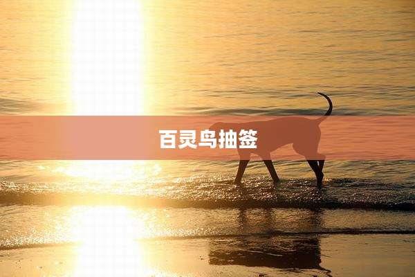 百灵鸟抽签