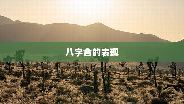 八字合的表现
