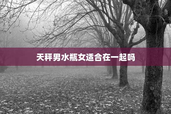天秤男水瓶女适合在一起吗
