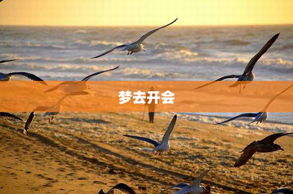 梦去开会