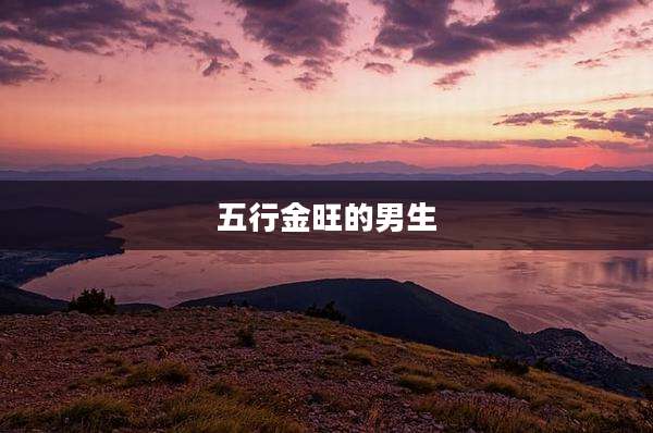 五行金旺的男生