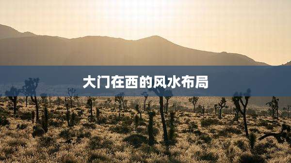 大门在西的风水布局