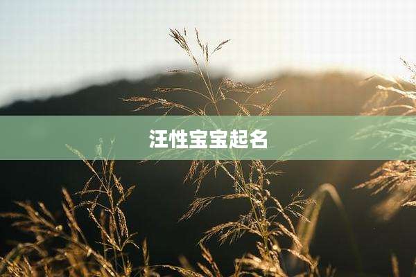汪性宝宝起名