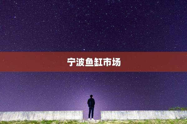 宁波鱼缸市场