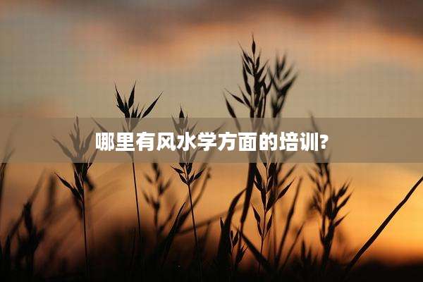 哪里有风水学方面的培训?