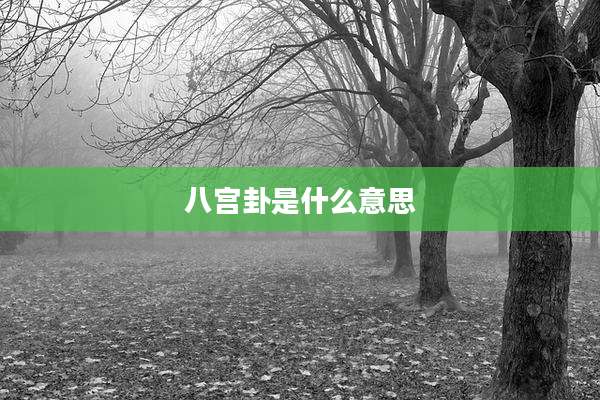 八宫卦是什么意思