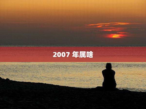 2007 年属啥