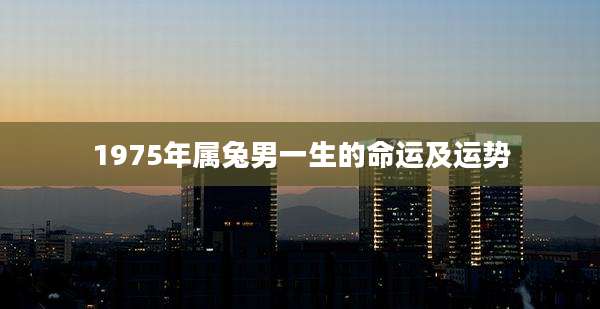 1975年属兔男一生的命运及运势