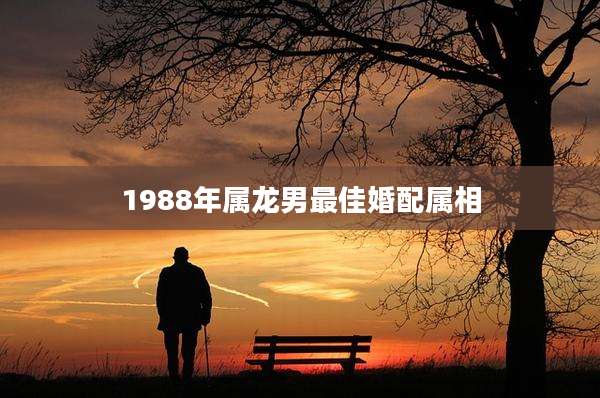 1988年属龙男最佳婚配属相