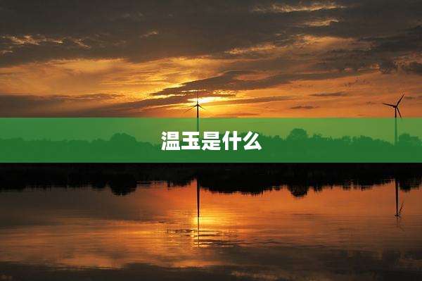 温玉是什么