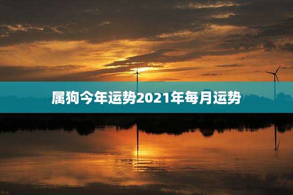 属狗今年运势2021年每月运势