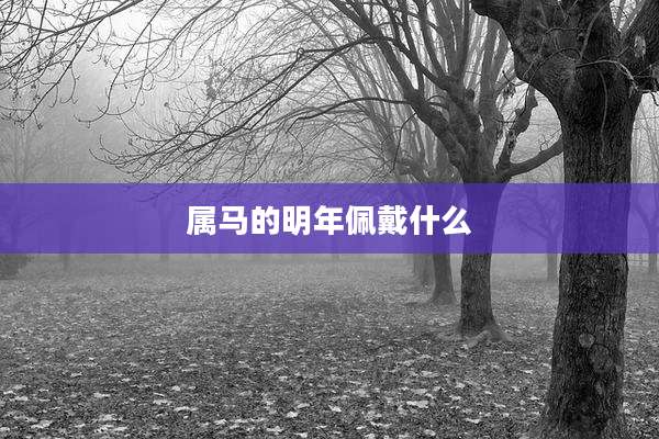 属马的明年佩戴什么