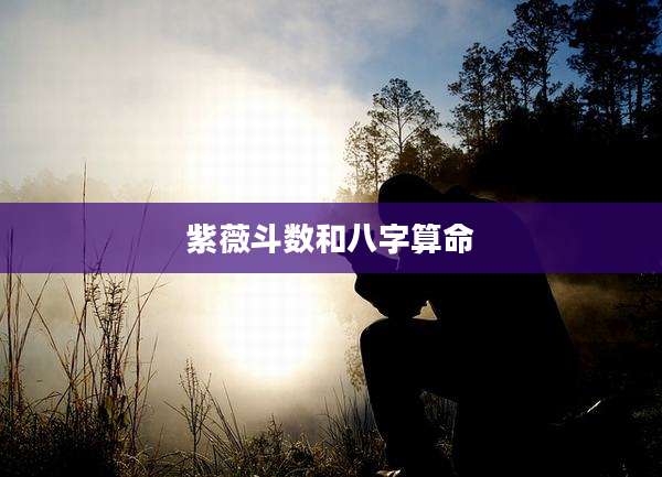 紫薇斗数和八字算命