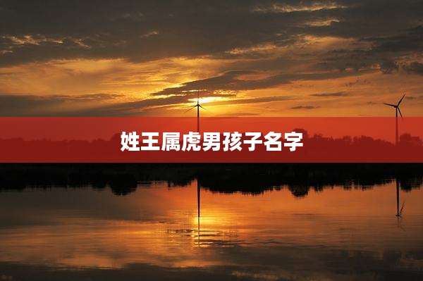 姓王属虎男孩子名字