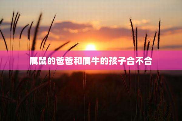 属鼠的爸爸和属牛的孩子合不合