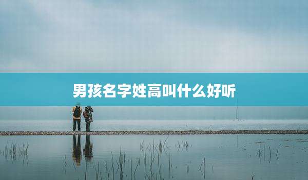男孩名字姓高叫什么好听