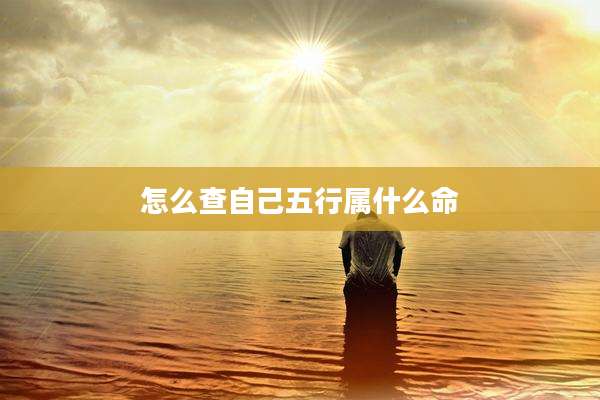 怎么查自己五行属什么命