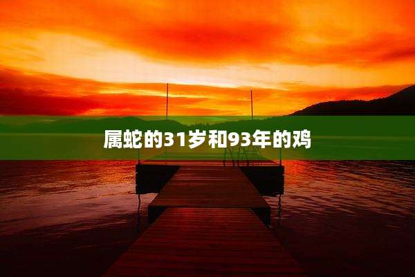 属蛇的31岁和93年的鸡