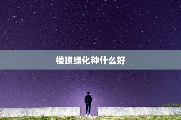 楼顶绿化种什么好