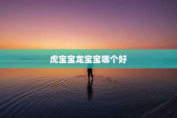 虎宝宝龙宝宝哪个好