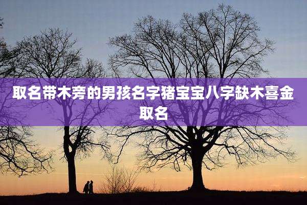 取名带木旁的男孩名字猪宝宝八字缺木喜金取名