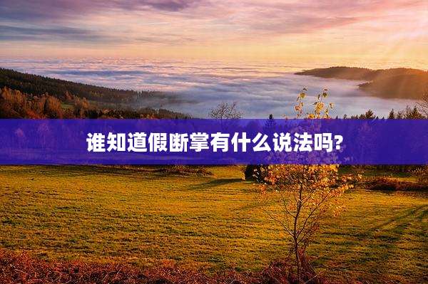 谁知道假断掌有什么说法吗?