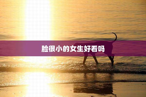 脸很小的女生好看吗
