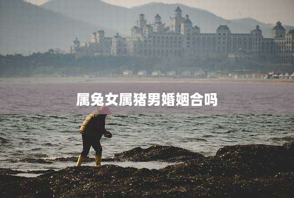 属兔女属猪男婚姻合吗