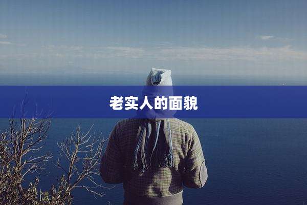老实人的面貌