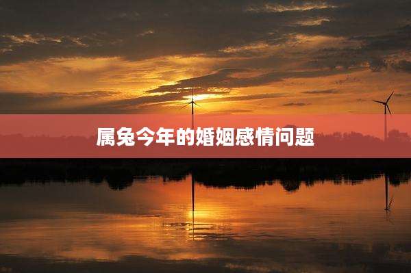 属兔今年的婚姻感情问题