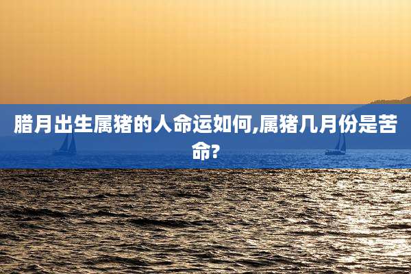 腊月出生属猪的人命运如何,属猪几月份是苦命?
