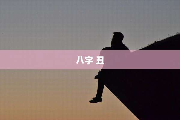 八字 丑