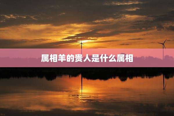属相羊的贵人是什么属相