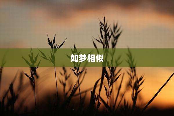 如梦相似