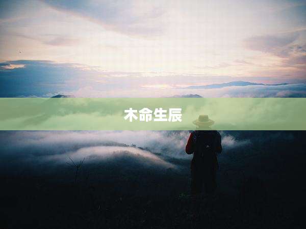 木命生辰