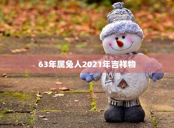 63年属兔人2021年吉祥物