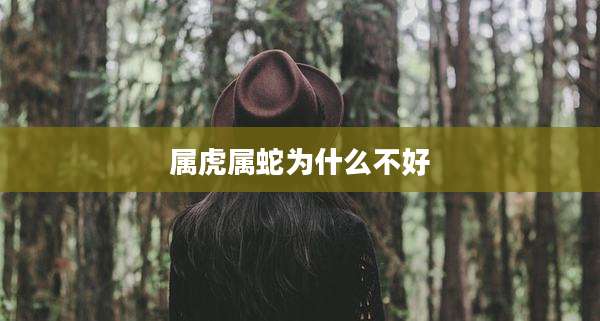 属虎属蛇为什么不好