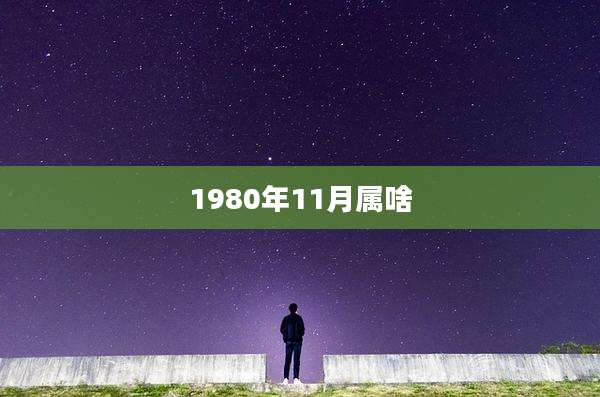 1980年11月属啥