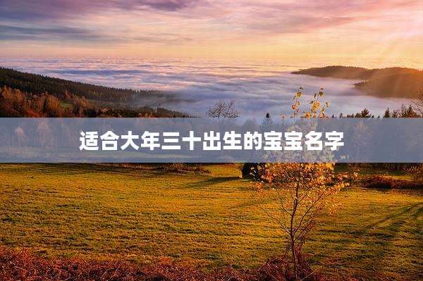 适合大年三十出生的宝宝名字