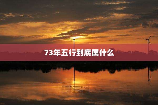 73年五行到底属什么