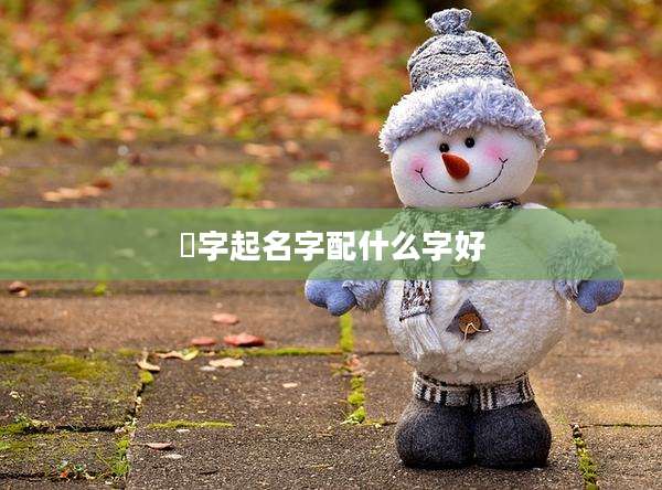 彧字起名字配什么字好