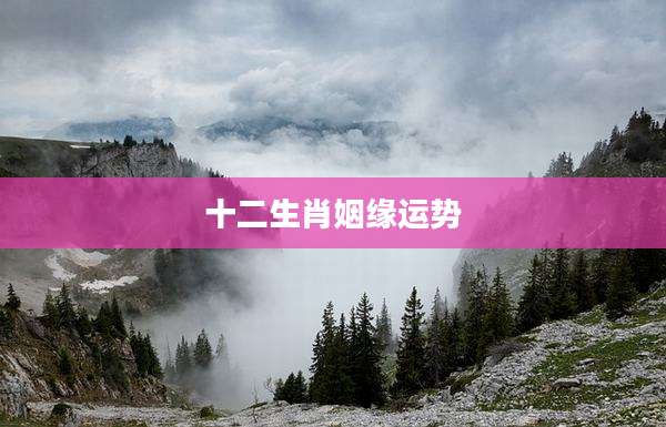 十二生肖姻缘运势